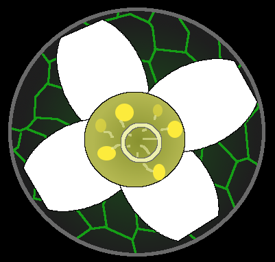 Data & bioimage analysis